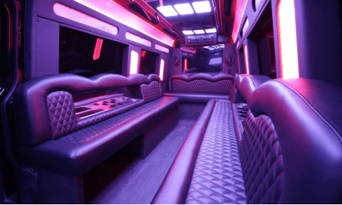 Cleveland 14 Passenger Sprinter Bus Interior