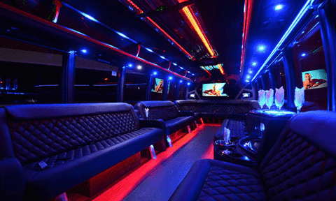 South Bend 30 Passenger Party Bus Black Interior